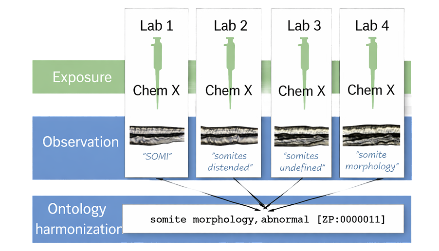 Different labs often use different terms for the same concept