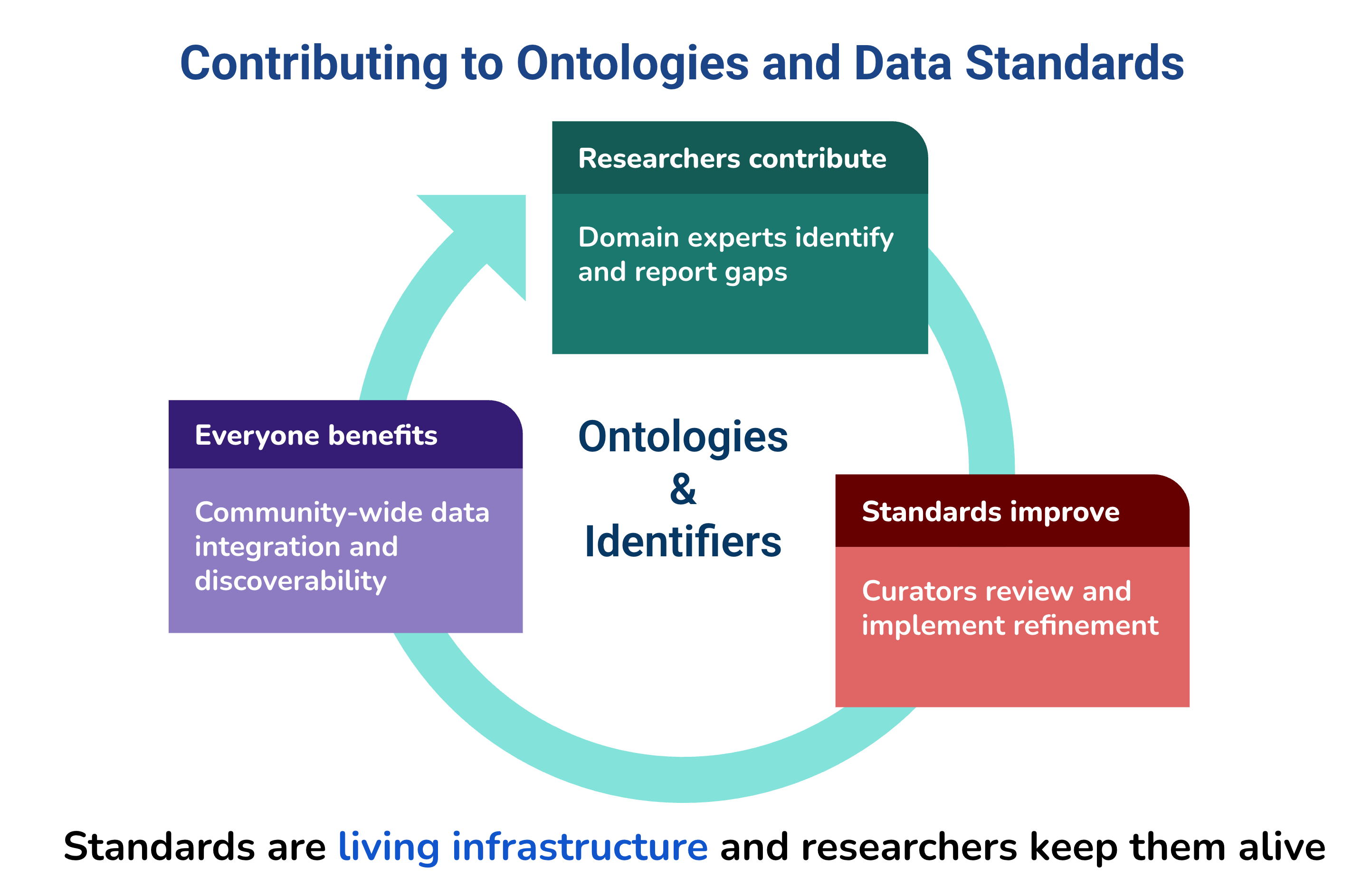 Contributing to Ontologies and Data Standards