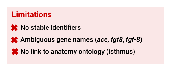 Limitations of unstandardized reporting: no stable identifiers; ambiguous gene names (ace, fgf8, fgf-8); no link to anatomy ontology (isthmus).