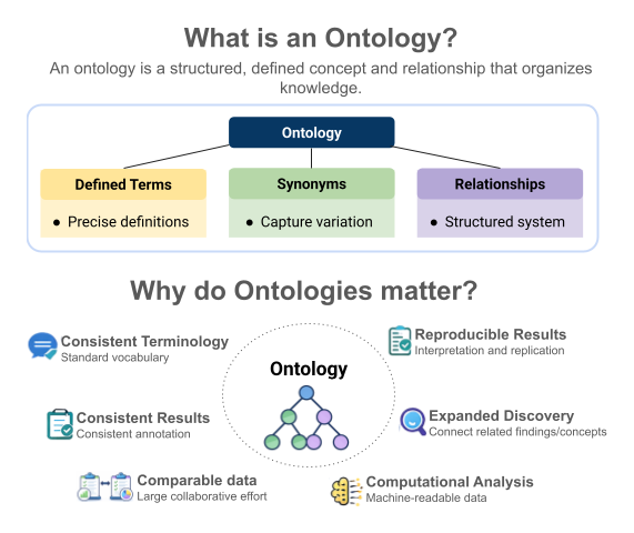 What is an Ontology and Why Should We Care?
